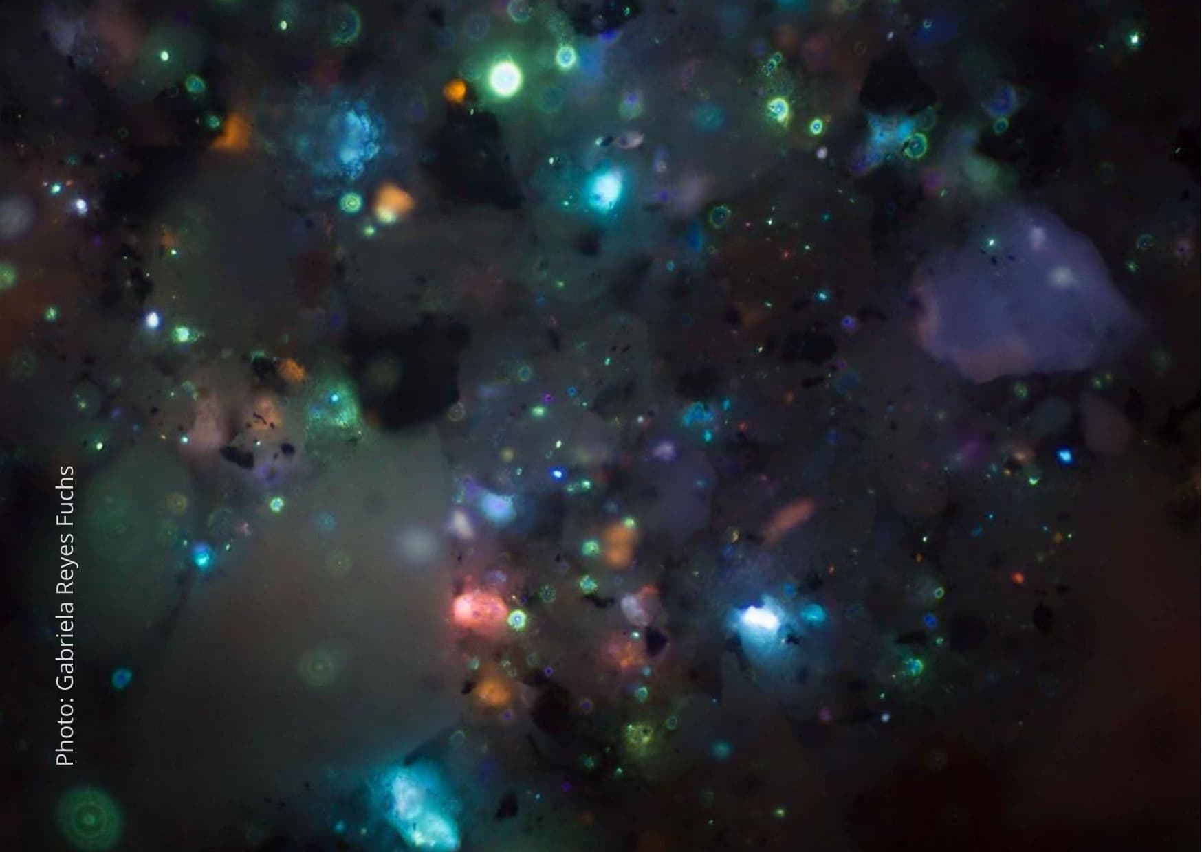 Celebruj galaktyka 3 Gabriela Reyes Fuchs - Gwiezdna galaktyka jest w każdym z nas
