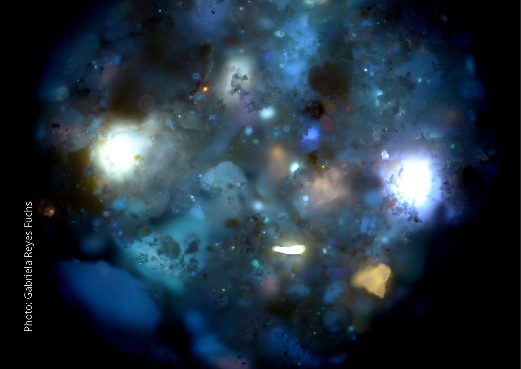 Celebruj galaktyka Gabriela Reyes Fuchs - Gwiezdna galaktyka jest w każdym z nas