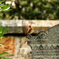 epitafium-na-nagrobku