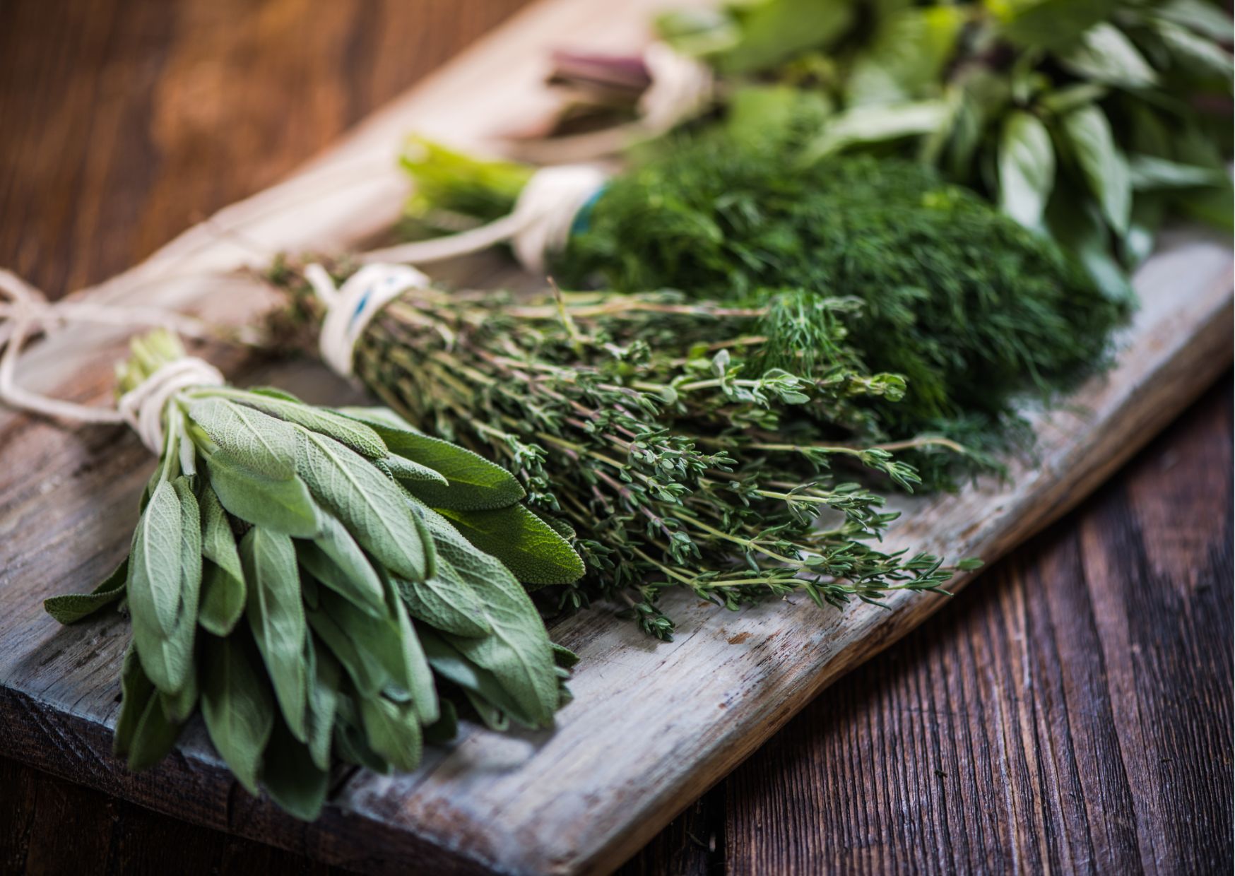 Zioła powiązane w pęczki