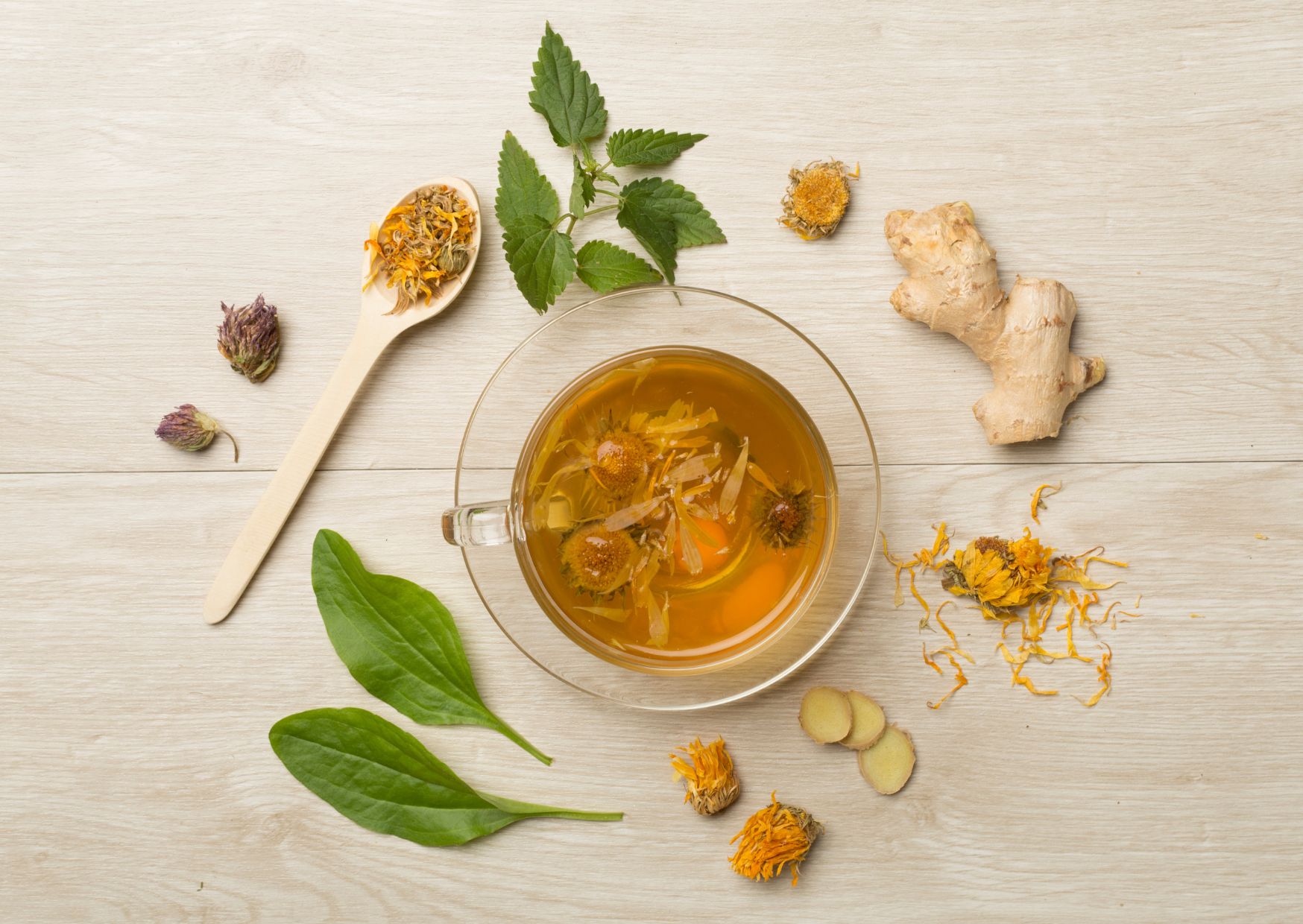 Filiżanka z naparem ziołowym