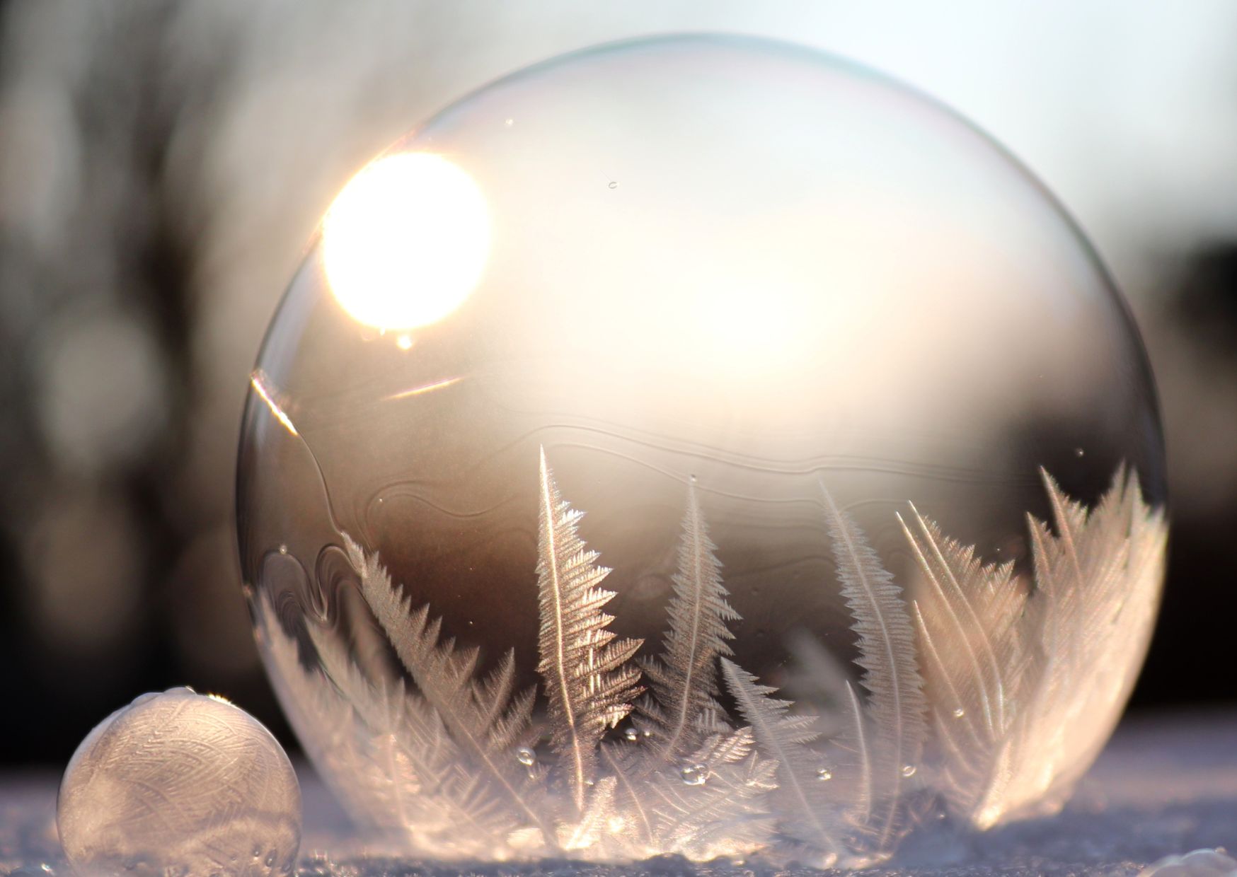 bańka powietrza  pokryta lodem; zima czego nas uczą o żałobie pory roku