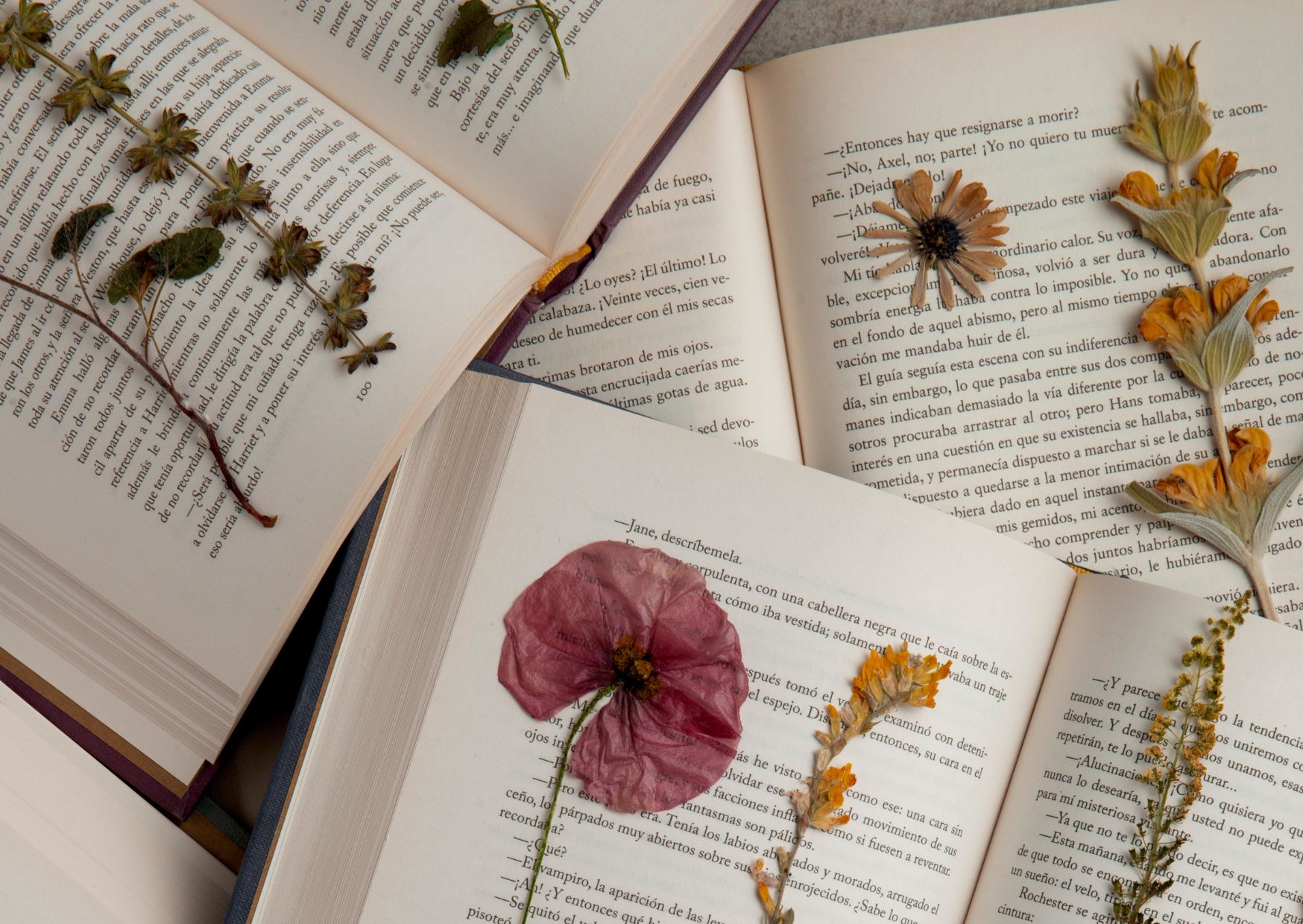 Celebruj wspomnienia_ Co czytać w żałobie